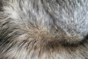 Cara Mengatasi Uban Tumbuh Terlalu Cepat: Tips Ampuh Agar Rambut Tetap Hitam dan Sehat!